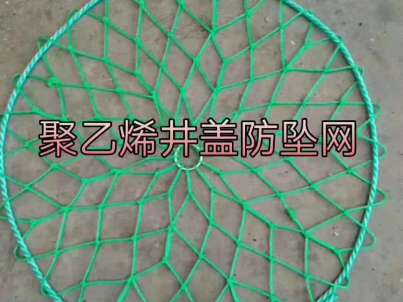 聚乙烯井蓋防墜網(wǎng)